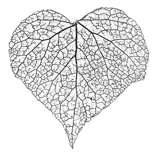 ivy copper heart